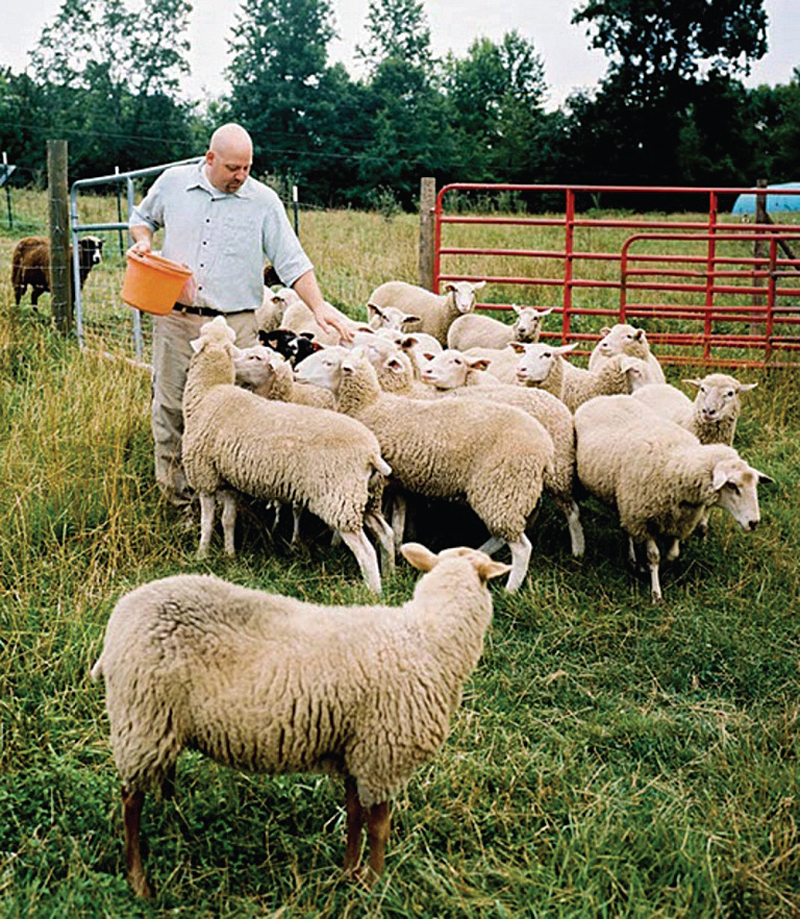 Alabama's Dayspring Dairy
